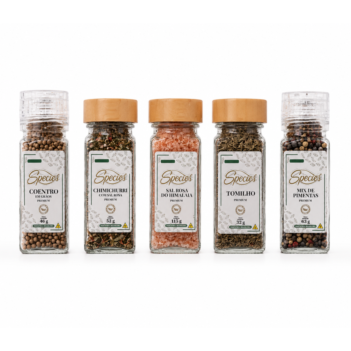 KIT ESPECIARIAS GOURMET PREMIUM SPECIES – COENTRO EM GRÃOS, CHIMICHURRI, SAL ROSA DO HIMALAIA, TOMILHO E MIX DE PIMENTAS