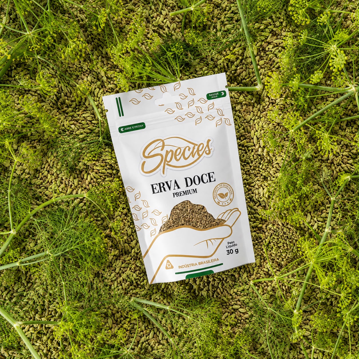 Erva-Doce Premium Species 30g