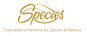 SPÉCIES Alimentos – Marketing Digital e SEO – São Paulo (Portfólio)