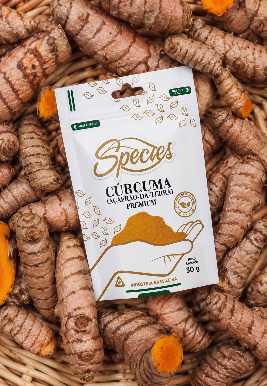 Cúrcuma (Açafrão-da-terra) Species Premium