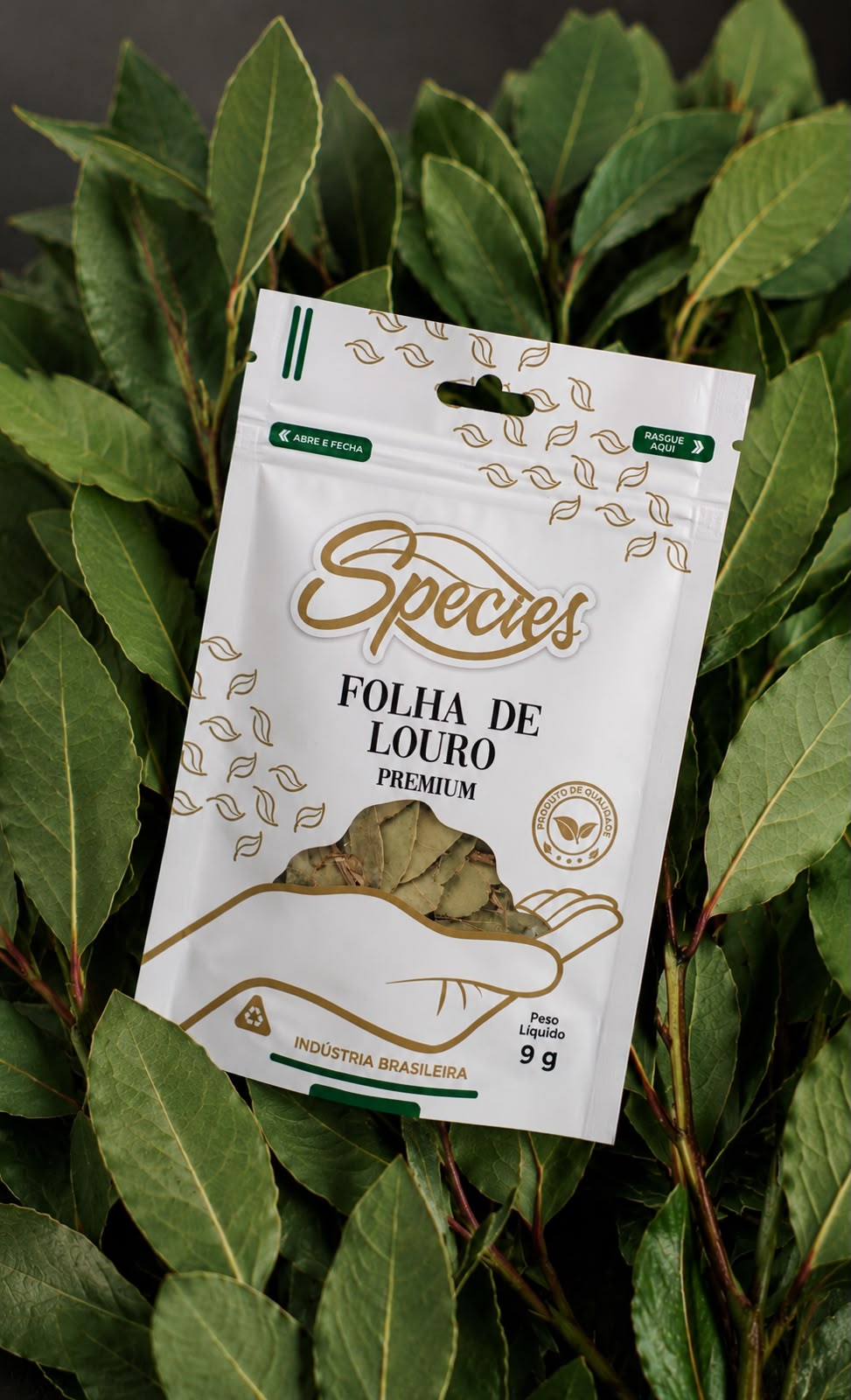 Folha de Louro Species Premium